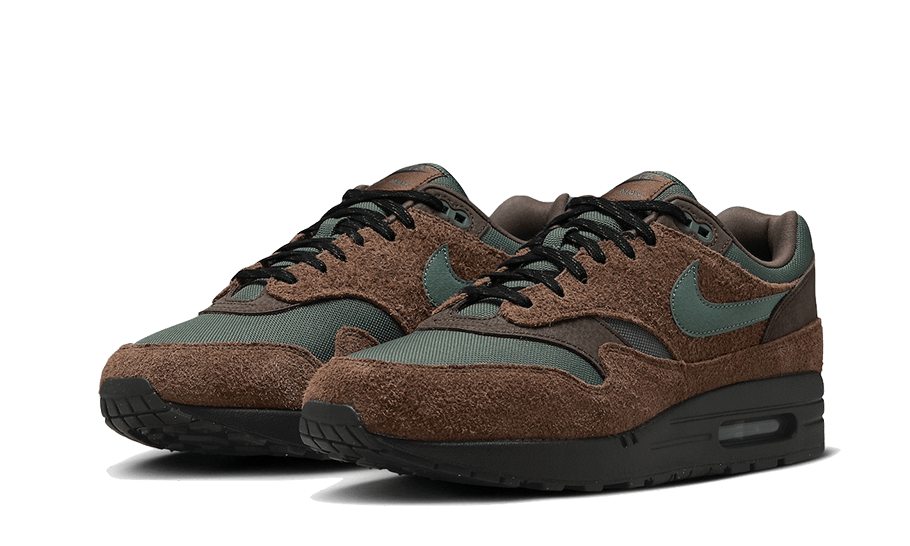 Nike Air Max 1 Beef and Broccoli