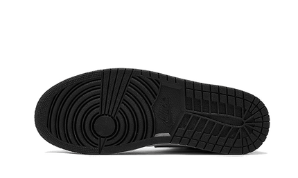 Air Jordan 1 Retro High OG Washed Heritage