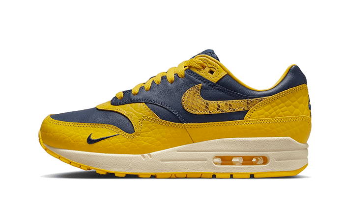 Nike Air Max 1 CO.JP Michigan