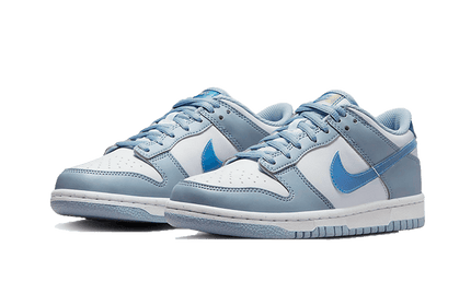 Nike Dunk Low Hologram