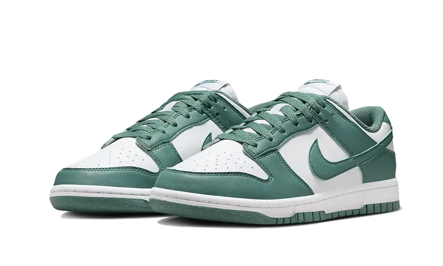 Nike Dunk Low Next Nature Bicoastal