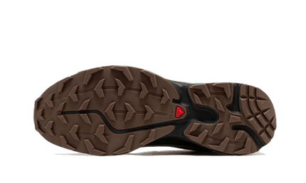 Salomon Advanced XT-6 Gore-Tex Eden Green Ash