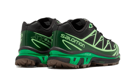 Salomon Advanced XT-6 Gore-Tex Eden Green Ash