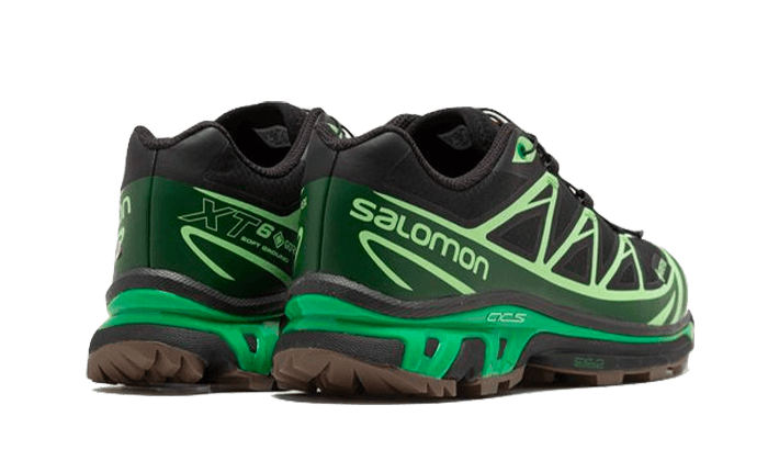 Salomon Advanced XT-6 Gore-Tex Eden Green Ash