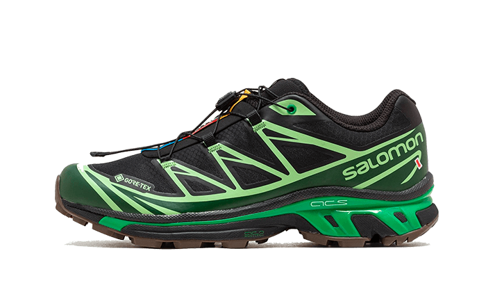 Salomon Advanced XT-6 Gore-Tex Eden Green Ash