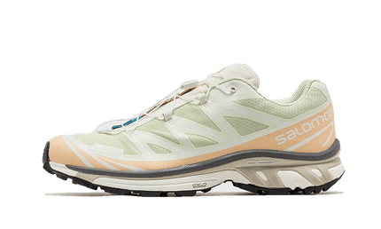 Salomon XT-6 Aloe Wash Feather Grey