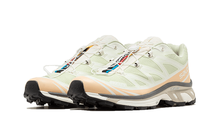 Salomon XT-6 Aloe Wash Feather Grey