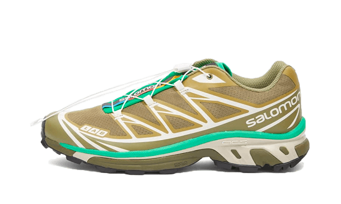 Salomon XT-6 Dried Herb