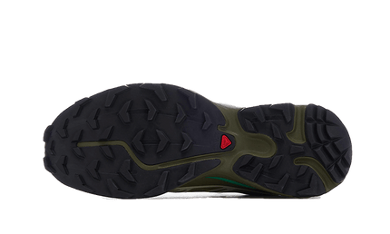 Salomon XT-6 Dried Herb