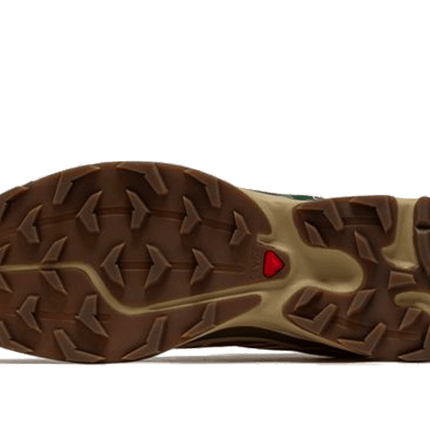 Salomon XT-6 Rubber Lizard