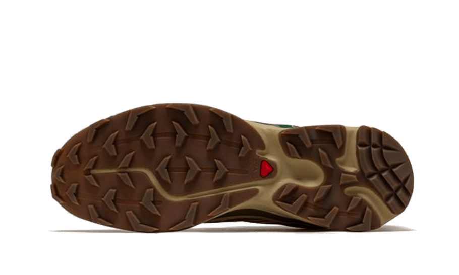 Salomon XT-6 Rubber Lizard