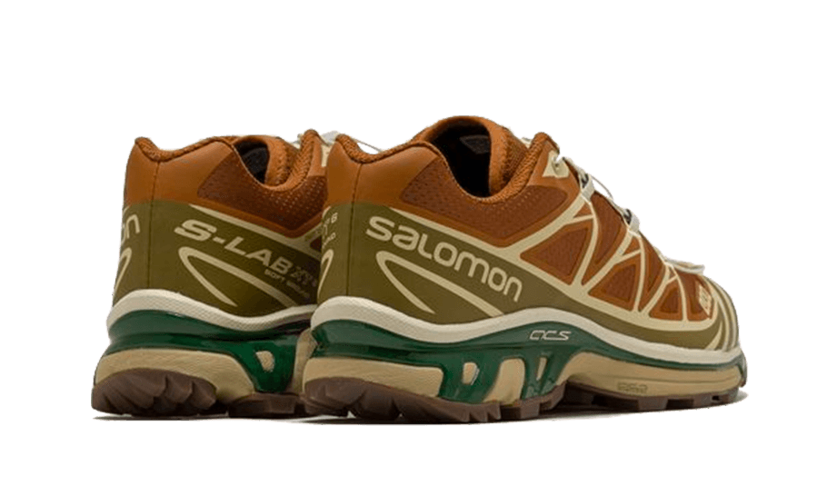 Salomon XT-6 Rubber Lizard