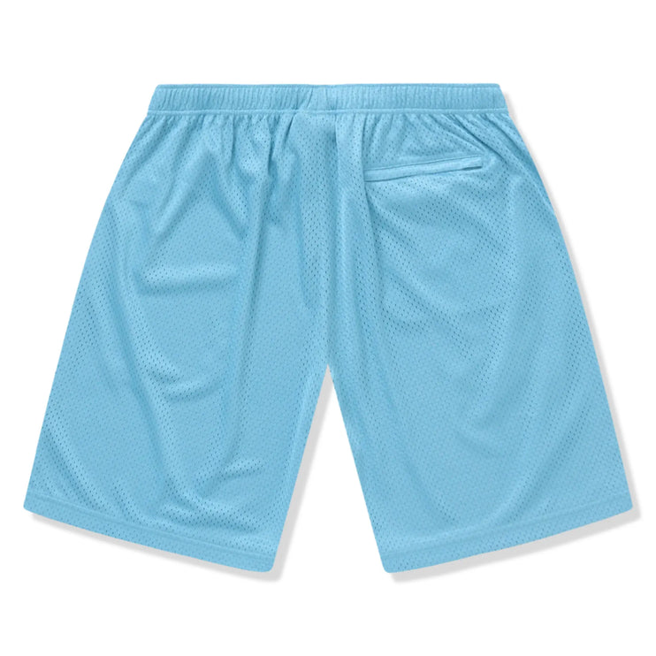 Back View of Supreme Small Box Baggy Mesh Light Blue Shorts (SS25) SS25SH18-CYAN