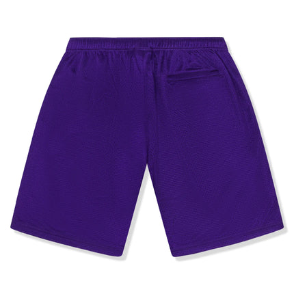 Back View of Supreme Small Box Baggy Mesh Purple Shorts (SS25) SS25SH18-PURPLE