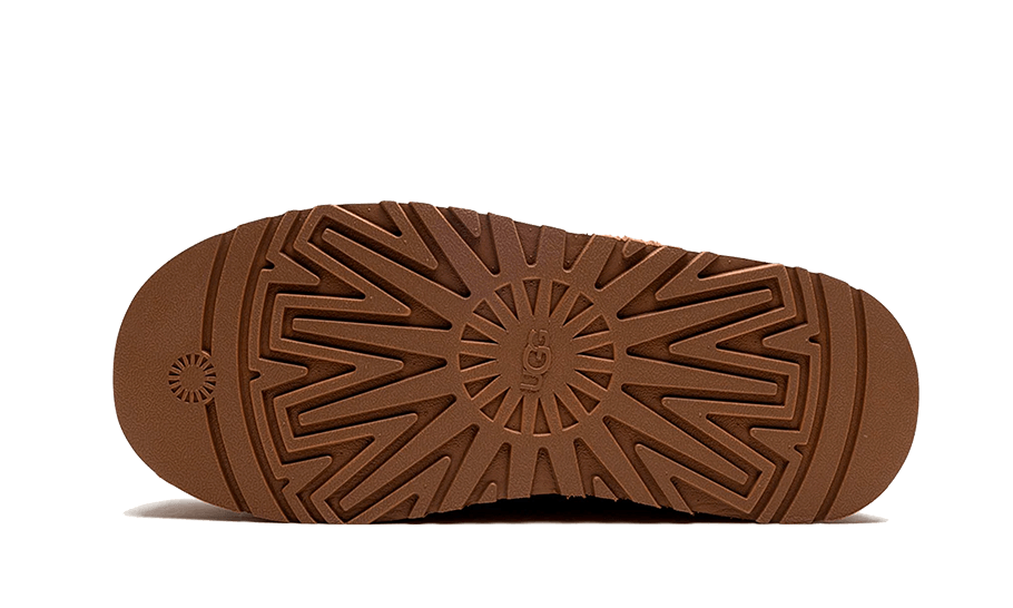 UGG Tazz Braid Hardwood