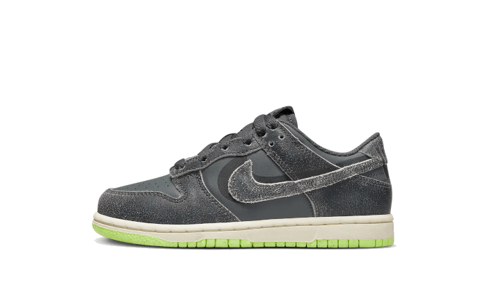 Nike Dunk Low Swoosh Shadow Iron Grey Enfant Ps