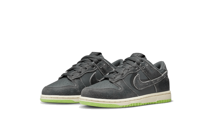 Nike Dunk Low Swoosh Shadow Iron Grey Enfant Ps