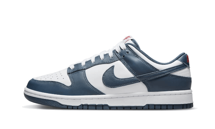 Nike Dunk Low Valerian Blue