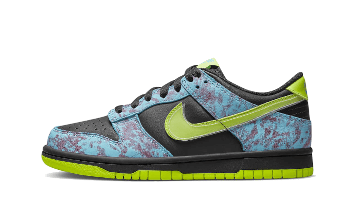 Nike Dunk Low Acid Wash