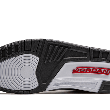 Air Jordan 3 Retro Cool Grey 2021