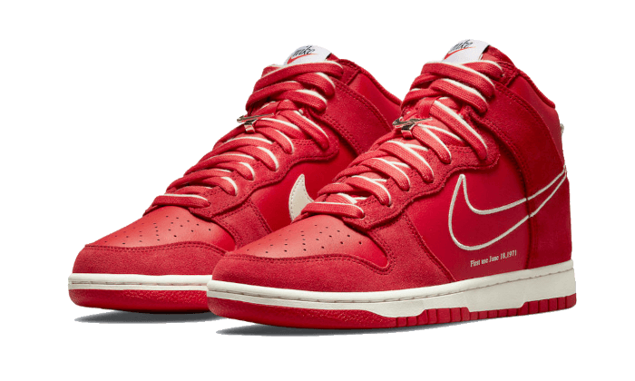 Nike Dunk High First Use University Rot