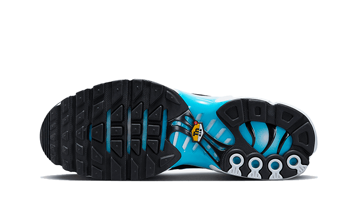 Nike Air Max Plus Baltic Blue Addict Sneakers