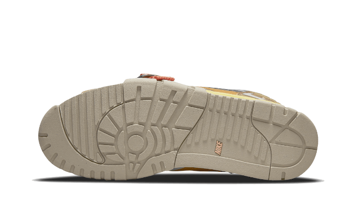 Nike Air Trainer 1 Sp Coriander