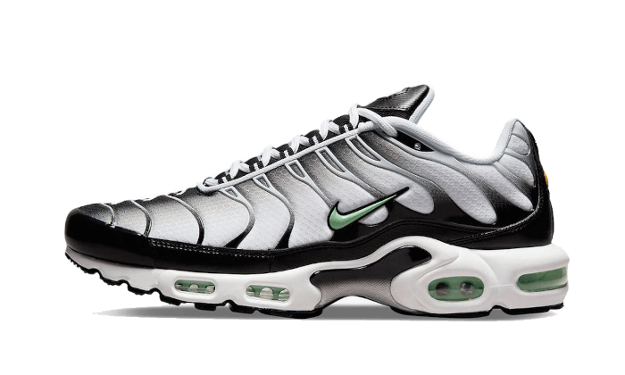 Nike Air Max Plus Seafoam Gray Black