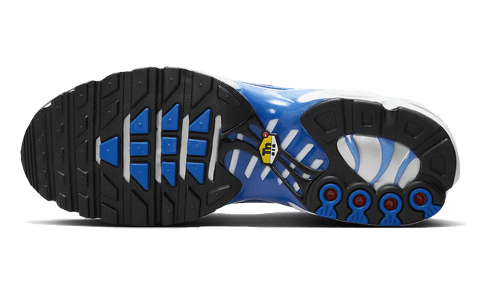 Nike Air Max Plus Light Photography Old Royal